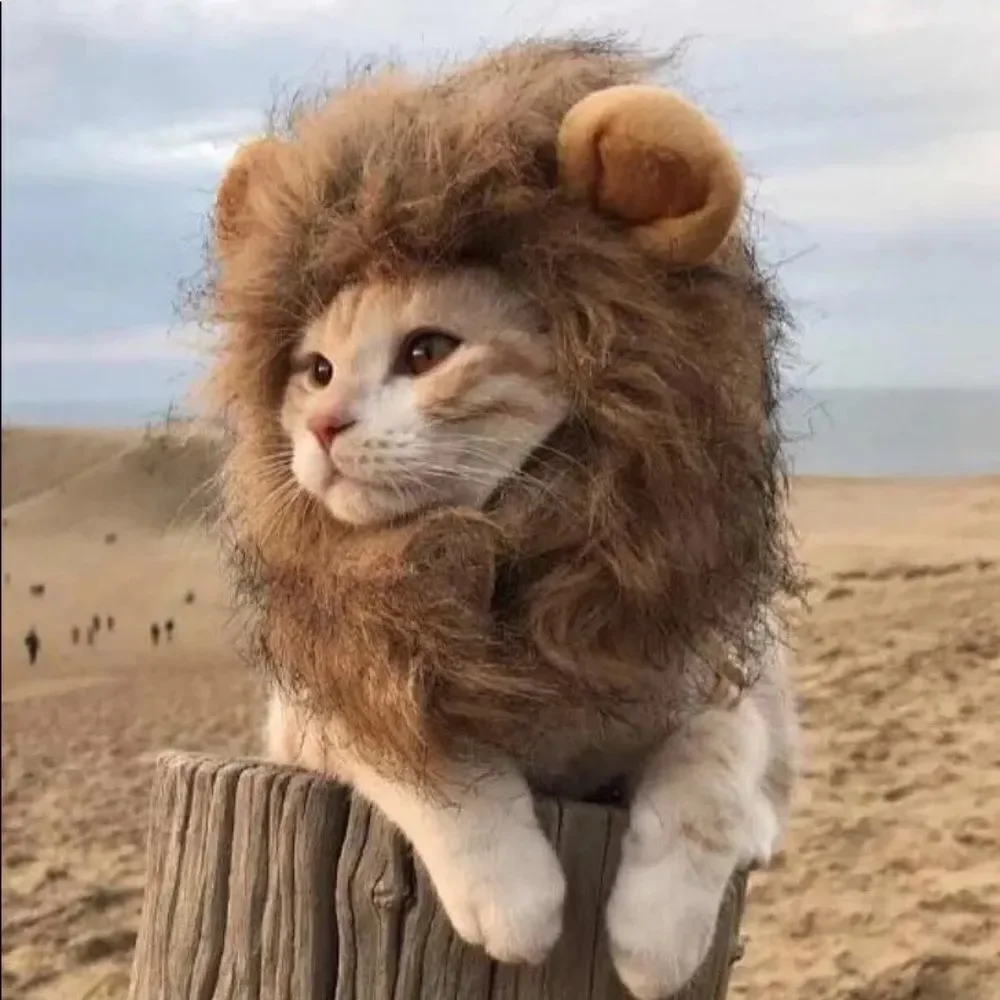 Lion Face Costume